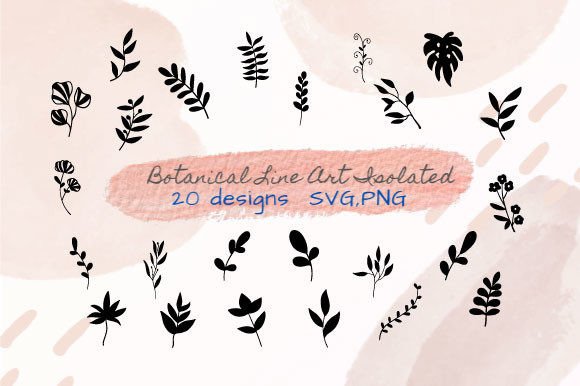Botanical Hand Drawn Isolated
